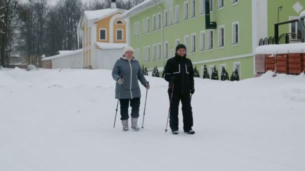 Wintersport in Finnland - Nordic Walking. Seniorin und Mann wandern im kalten Wald. Aktive Menschen im Freien. — Stockvideo
