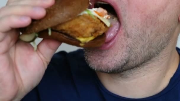 Young Man Eating Burger Fast Food Concept Macro — Stock Video