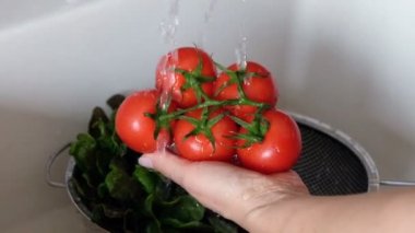 Kadın çamaşır taze organik domates