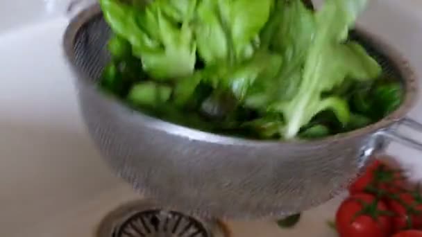 Fräsch grönsallad i ett durkslag — Stockvideo