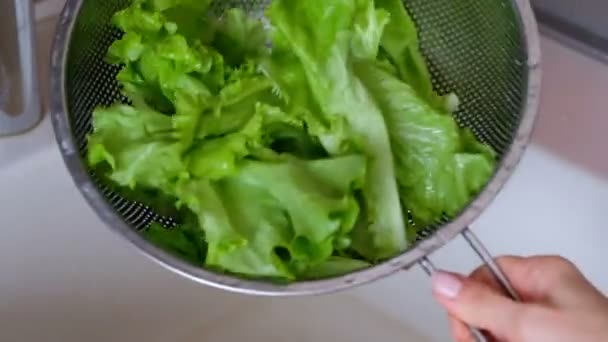 Fräsch Grönsallad Ett Durkslag Vegansk Mat — Stockvideo