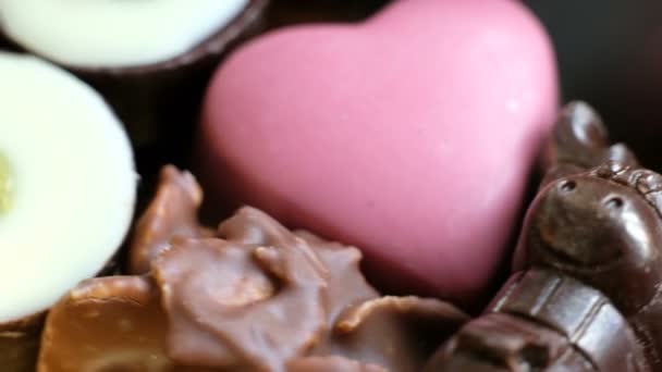 Assorted Chocolade en cacao op zwarte achtergrond, close-up. Hoge hoekmening — Stockvideo