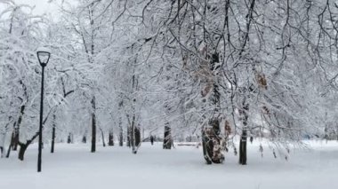 Kışın güzel karla kaplı Şehir Parkı