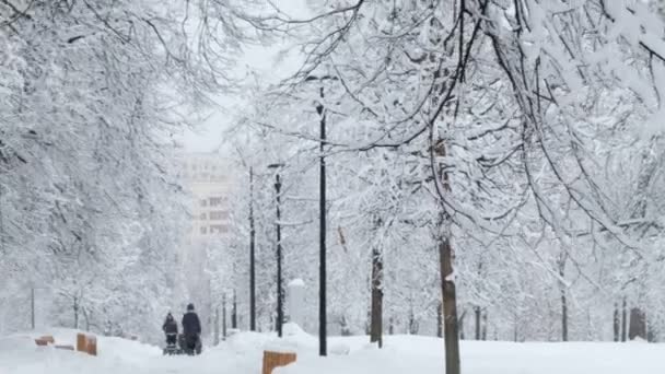 Vackra snötäckta stadsparken i vinter — Stockvideo
