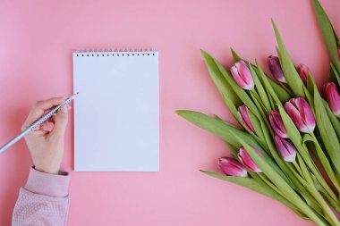 Pembe Lale ile kadınsı flatlay çiçek, defter ve kadının elleri tarz. Kopya alanı