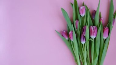 Lale pembe bir arka plan üzerinde. With Love metinle tebrik kartı ve bir hediye koyarak kadın. Hemen üstündeki Görünüm