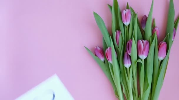 Tulipaner på lyserød baggrund. Kvinde sætte lykønskningskort med teksten MED KÆRLIGHED. Direkte over visning – Stock-video