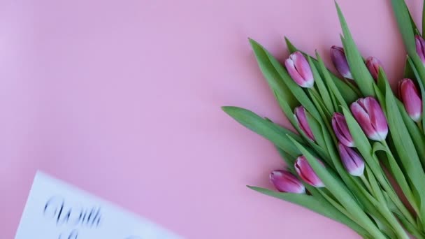 Tulpen auf rosa Hintergrund. Frau legt Grußkarte mit dem Text mit Liebe und einem Geschenk. direkt über der Ansicht — Stockvideo