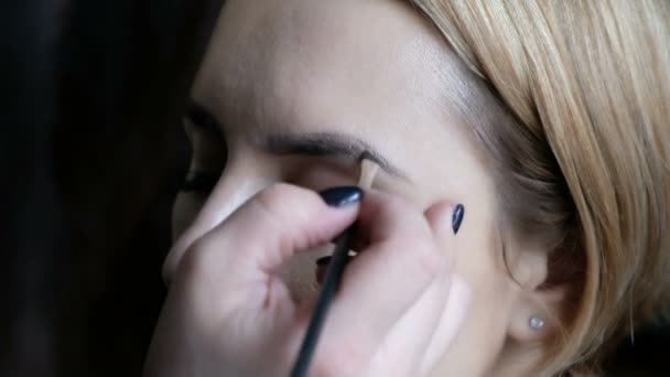 Artista de maquillaje profesional trabajando con una hermosa mujer joven — Vídeos de Stock