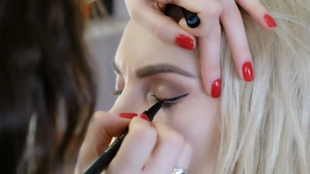 Professionele make-up kunstenaar werken met mooie jonge vrouw — Stockvideo