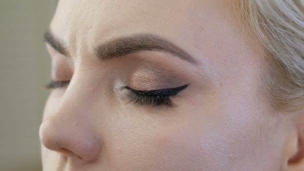 Artista de maquiagem profissional trabalhando com bela jovem — Vídeo de Stock