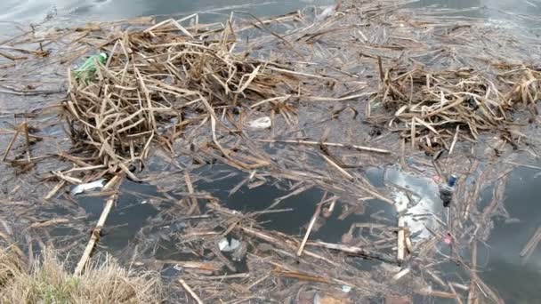 Nehir kıyısında çöp. Kirlilik, ekoloji ve çevre koruma kavramı — Stok video