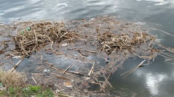 Lixo junto ao rio. Conceito de poluição, ecologia e protecção do ambiente — Vídeo de Stock