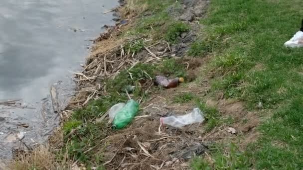 Woman volunteer cleaning up the trash by the river. Picking up garbage outdoors. Ecology and environment concept — Stock Video