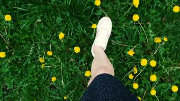 Літня концепція: Жіночі ноги в білих кросівках на зеленому полі трави з жовтими кульбабами — стокове відео