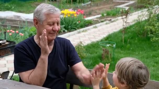 Lindo niño jugando con su abuelo, verano al aire libre — Vídeos de Stock