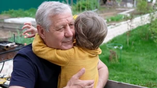 彼の祖父を抱きしめるかわいい男の子、夏の屋外 — ストック動画
