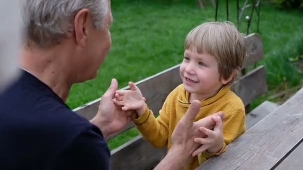 Милий маленький хлопчик грає зі своїм дідом, літо на відкритому повітрі — стокове відео