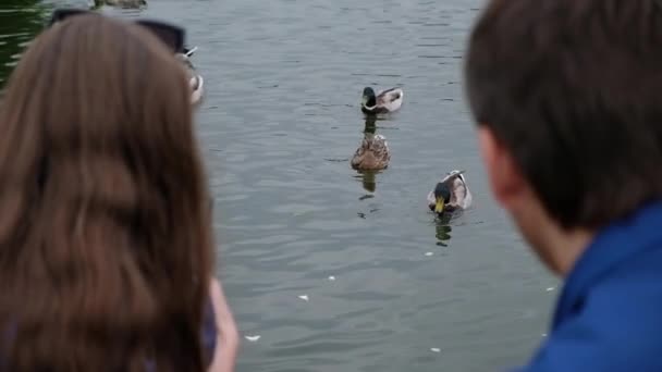 Junges Paar sitzt am Fluss und füttert Enten, über die Schulter gesehen — Stockvideo