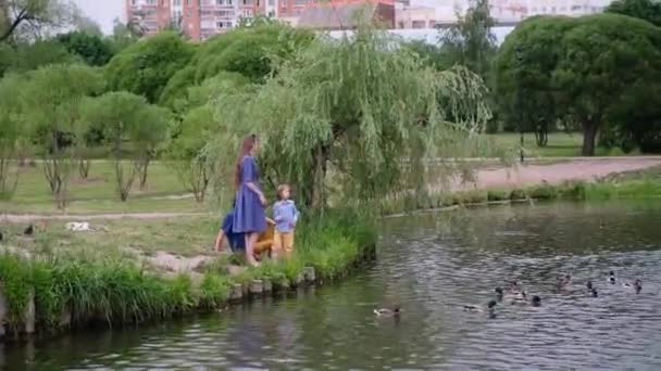家族の概念。川のそばに座ってアヒルに餌を与える幸せな家族、夏の屋外 — ストック動画