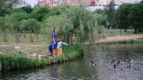 家族の概念。川のそばに座ってアヒルに餌を与える幸せな家族、夏の屋外 — ストック動画