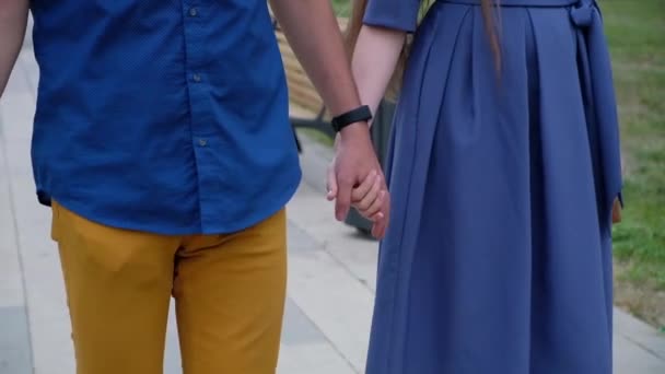 A család és a szeretet fogalma: fiatal férfi és nő gyaloglás és kezek egymás kezében. Nyár a szabadban — Stock videók