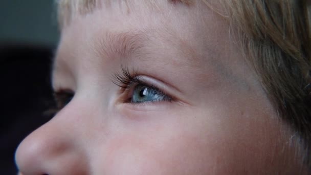 Beautiful childs blue eye with long eyelashes macro shot — Stock Video