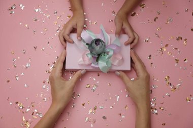 Şenlikli pembe arka planda güzel hediye kutusu, oğul ve anneler elleri ile