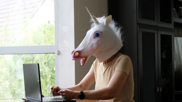 Tuhaf, komik bir video. Tek boynuzlu atın başı bilgisayarda çalışan kızgın bir kadın. Kişisel tecrit. — Stok video