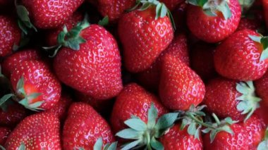 Taze organik çilek dönüşümlü. Üst Manzara. Yaklaşın, ağır çekim.