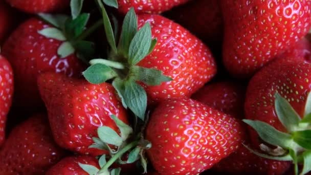 Frische Bio-Erdbeeren rotieren. Ansicht von oben. Nahaufnahme, Zeitlupe — Stockvideo