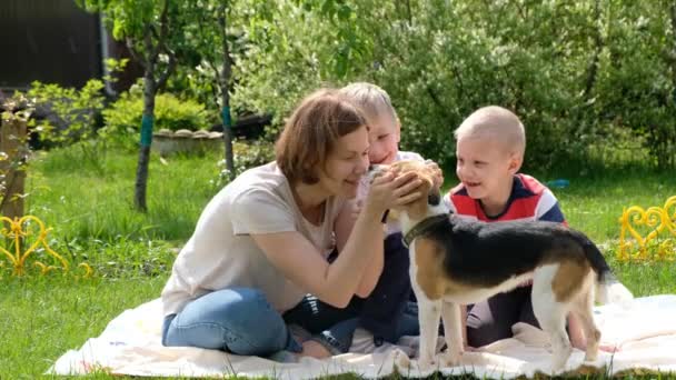 Mujer y sus hijos niños niños jugando con perro beagle día soleado al aire libre — Vídeos de Stock