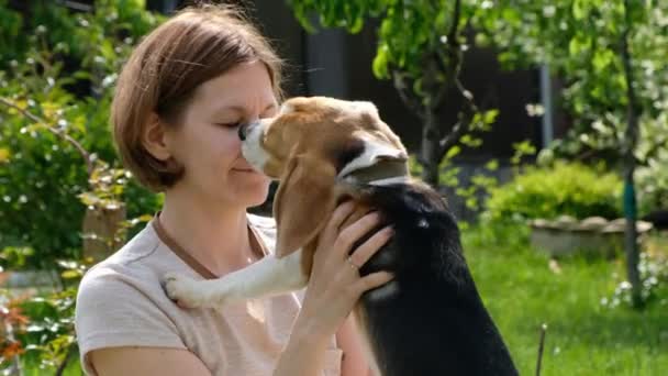 Vrouw spelen met schattige hond beagle, zomer buiten — Stockvideo