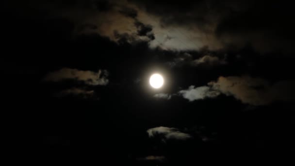 Hermoso tiro con luna llena y nubes corriendo rápido — Vídeo de stock