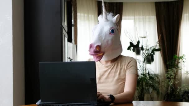 Tuhaf, komik bir video. Tek boynuzlu at kafası olan bir kadın bilgisayarda çalışıyor. Kişisel tecrit. — Stok video