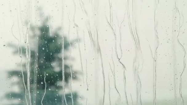 Gotas de lluvia sobre cristales de ventanas. Ducha de verano, primer plano — Vídeos de Stock