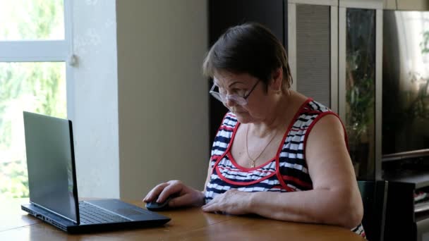Dizüstü bilgisayarda çalışan yaşlı bir kadın. — Stok video
