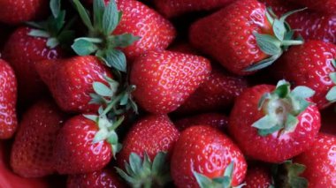 Taze organik çilek dönüşümlü. Üst Manzara. Yaklaşın, ağır çekim.