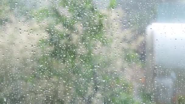 Gotas de lluvia sobre cristales de ventanas. Ducha de verano, primer plano — Vídeos de Stock