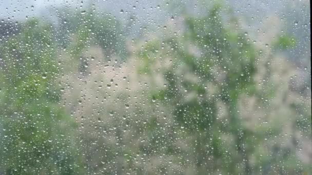 Gotas de lluvia sobre cristales de ventanas. Ducha de verano, primer plano — Vídeos de Stock