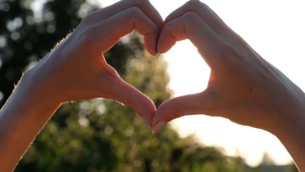 Жінки Руки складають серце. Промені сонця світяться крізь серце на заході сонця. Символ кохання, концепція літа . — стокове відео