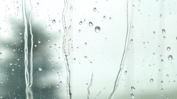 雨が窓ガラスに降ります。夏のシャワーを閉じて — ストック動画