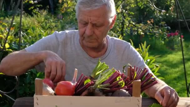 Uomo anziano agricoltore azienda scatola di legno con verdure biologiche fresche, raccolto. Da vicino. — Video Stock