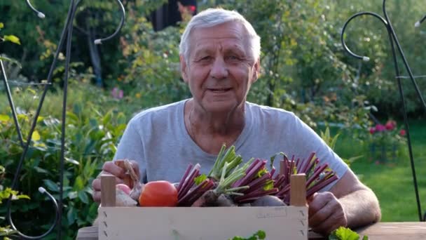 Starszy rolnik trzymający drewniane pudełko ze świeżymi organicznymi warzywami, zbiory. Zamknij się. — Wideo stockowe