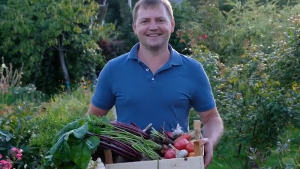 Jonge boer met houten doos met verse biologische groenten, oogst. Sluiten. — Stockvideo