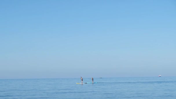 Δύο άνδρες standup paddleboarding σε μπλε θάλασσα, όμορφο ελάχιστο ήρεμο τοπίο — Αρχείο Βίντεο