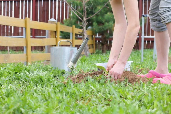 Werken Tuin Een Vrouw Houdt Zich Bezig Met Zaailingen Van — Stockfoto