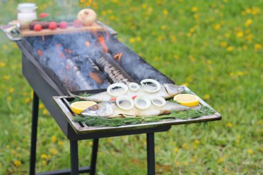 Çiğ balık pişirme önce. Pişirmeden önce ahşap yakma ile ızgara ham uskumru.