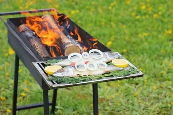 生鱼片烹调前 煮前烧木头的烧烤用的生鲭鱼 — 图库照片