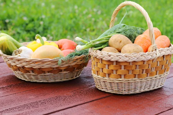 Fall harvest. Wicker baskets with fresh vegetables n the wooden table in the garden.